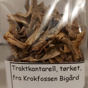 Traktkantarell 20g