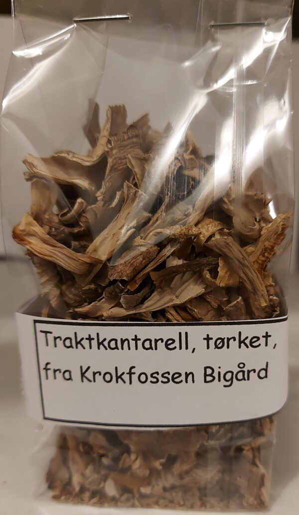 Traktkantarell 20g