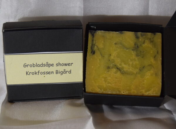 Grobladsåpe shower